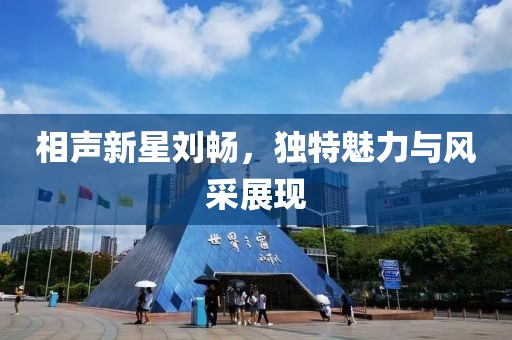 相声新星刘畅，独特魅力与风采展现