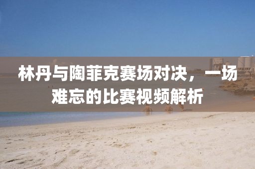 林丹与陶菲克赛场对决，一场难忘的比赛视频解析