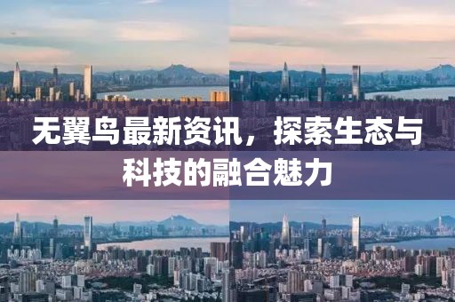 无翼鸟最新资讯，探索生态与科技的融合魅力