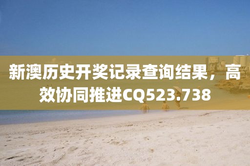 新澳历史开奖记录查询结果，高效协同推进CQ523.738