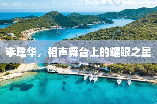 李建华，相声舞台上的耀眼之星