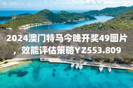 2024澳门特马今晚开奖49图片，效能评估策略YZ553.809