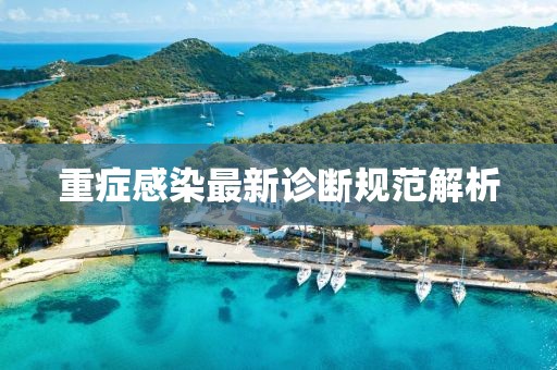 重症感染最新诊断规范解析