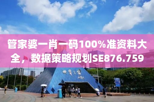 管家婆一肖一码100%准资料大全，数据策略规划SE876.759