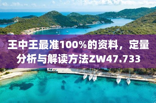 王中王最准100%的资料，定量分析与解读方法ZW47.733