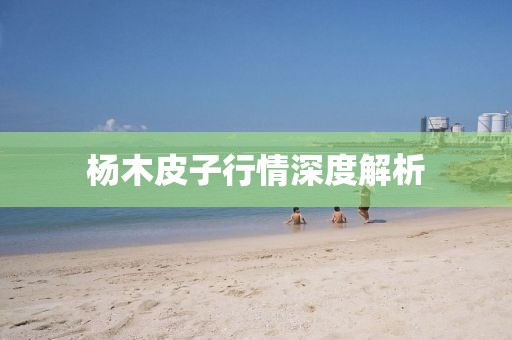 杨木皮子行情深度解析