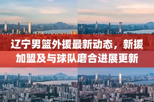 辽宁男篮外援最新动态，新援加盟及与球队磨合进展更新