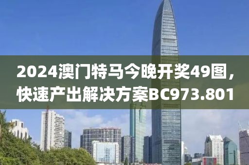 2024澳门特马今晚开奖49图，快速产出解决方案BC973.801