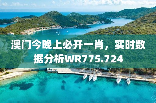 澳门今晚上必开一肖，实时数据分析WR775.724