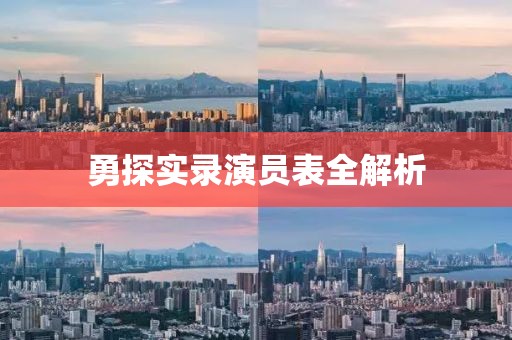 勇探实录演员表全解析