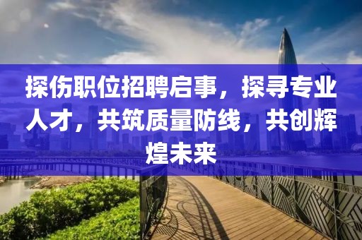 探伤职位招聘启事，探寻专业人才，共筑质量防线，共创辉煌未来