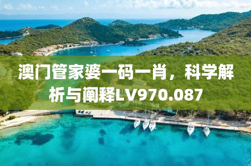 澳门管家婆一码一肖，科学解析与阐释LV970.087