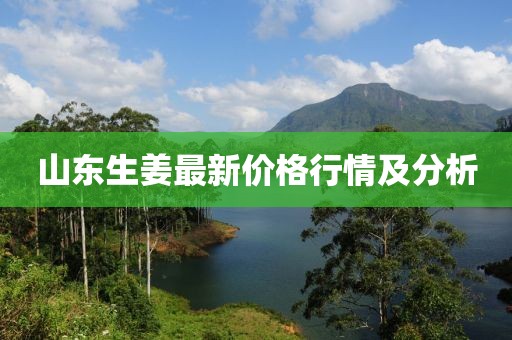 山东生姜最新价格行情及分析