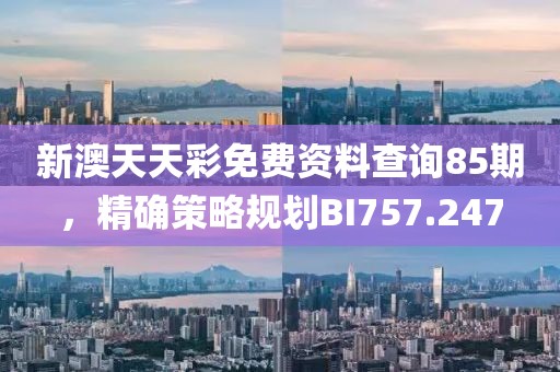 新澳天天彩免费资料查询85期，精确策略规划BI757.247