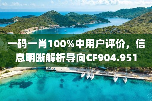 一码一肖100%中用户评价，信息明晰解析导向CF904.951