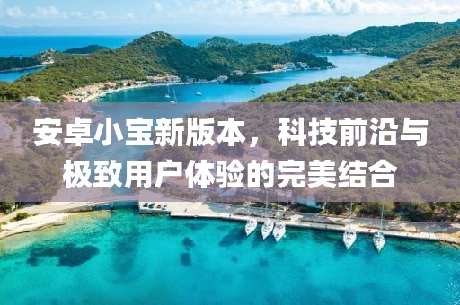 安卓小宝新版本，科技前沿与极致用户体验的完美结合