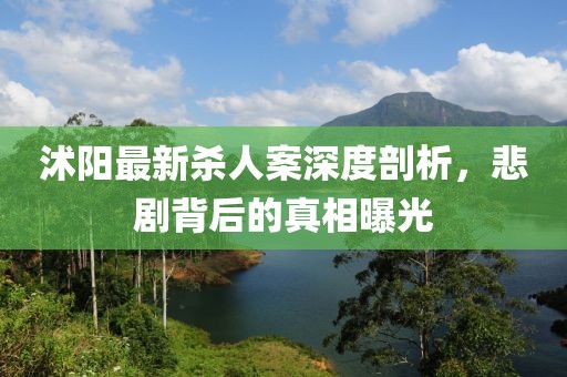 沭阳最新杀人案深度剖析，悲剧背后的真相曝光