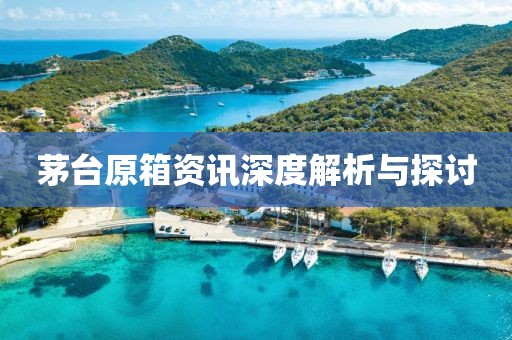 茅台原箱资讯深度解析与探讨