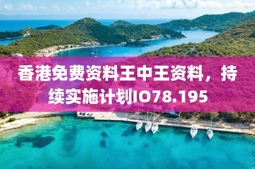 香港免费资料王中王资料，持续实施计划IO78.195