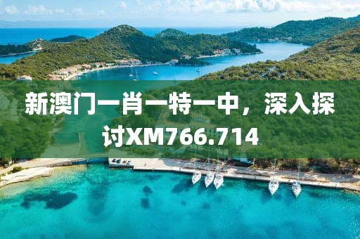 新澳门一肖一特一中，深入探讨XM766.714