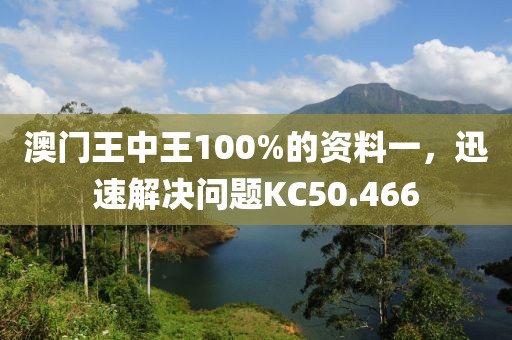 澳门王中王100%的资料一，迅速解决问题KC50.466