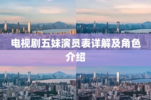 电视剧五妹演员表详解及角色介绍