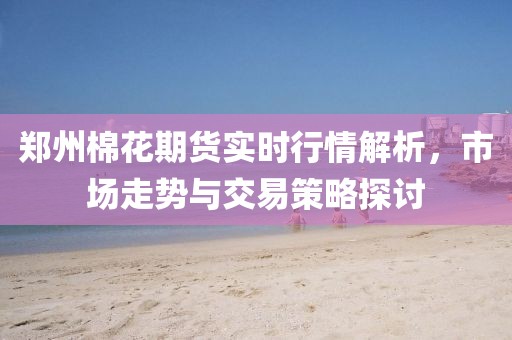 郑州棉花期货实时行情解析，市场走势与交易策略探讨