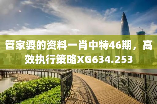 管家婆的资料一肖中特46期，高效执行策略XG634.253