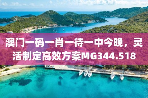 澳门一码一肖一待一中今晚，灵活制定高效方案MG344.518