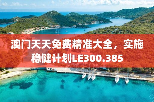澳门天天免费精准大全，实施稳健计划LE300.385