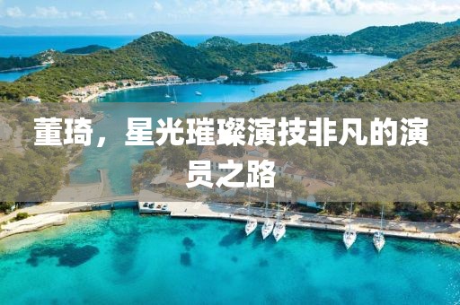 董琦，星光璀璨演技非凡的演员之路