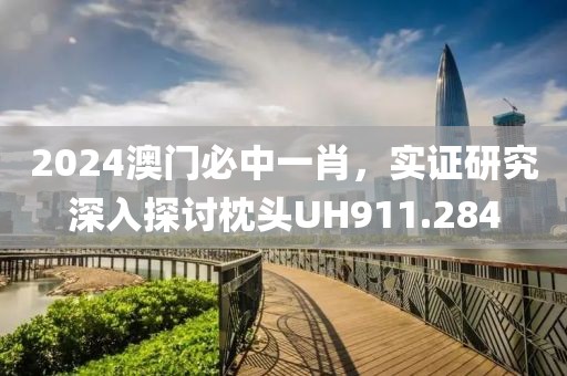 2024澳门必中一肖，实证研究深入探讨枕头UH911.284