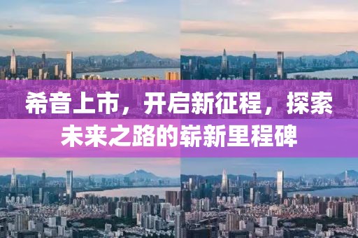希音上市，开启新征程，探索未来之路的崭新里程碑