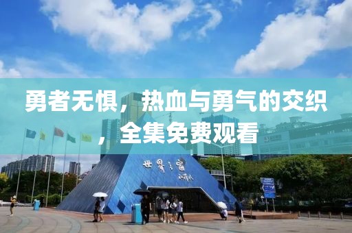 勇者无惧，热血与勇气的交织，全集免费观看