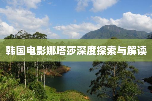 韩国电影娜塔莎深度探索与解读