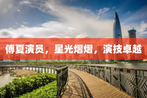 傅夏演员，星光熠熠，演技卓越