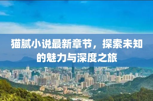 猫腻小说最新章节，探索未知的魅力与深度之旅