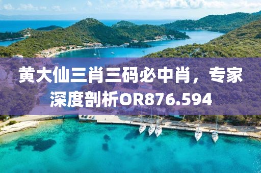 黄大仙三肖三码必中肖，专家深度剖析OR876.594