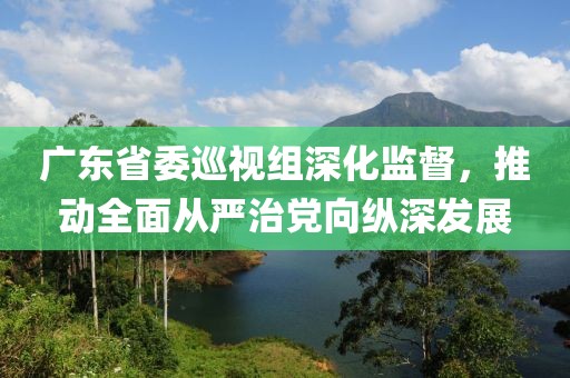 广东省委巡视组深化监督，推动全面从严治党向纵深发展