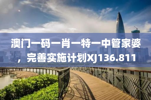 澳门一码一肖一特一中管家婆，完善实施计划XJ136.811