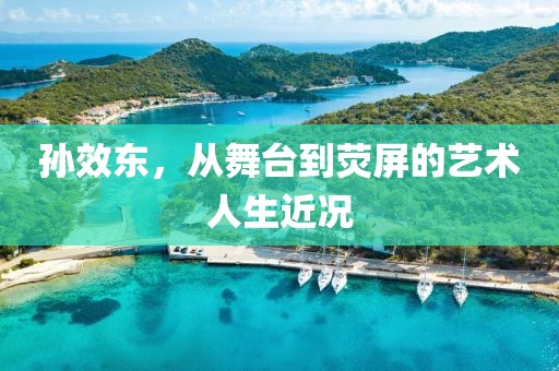 孙效东，从舞台到荧屏的艺术人生近况