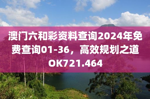 澳门六和彩资料查询2024年免费查询01-36，高效规划之道OK721.464
