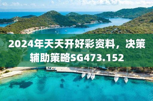 2024年天天开好彩资料，决策辅助策略SG473.152