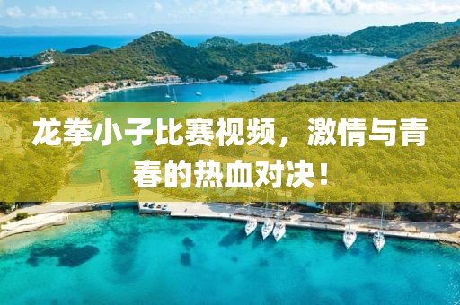 龙拳小子比赛视频，激情与青春的热血对决！