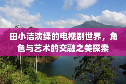 田小洁演绎的电视剧世界，角色与艺术的交融之美探索