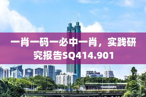 一肖一码一必中一肖，实践研究报告SQ414.901