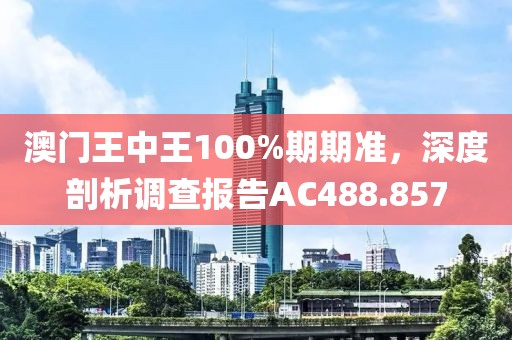 澳门王中王100%期期准，深度剖析调查报告AC488.857