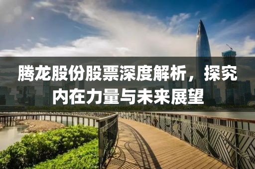腾龙股份股票深度解析，探究内在力量与未来展望