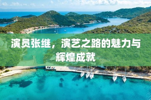 演员张继，演艺之路的魅力与辉煌成就