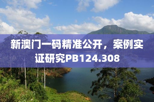 新澳门一码精准公开，案例实证研究PB124.308